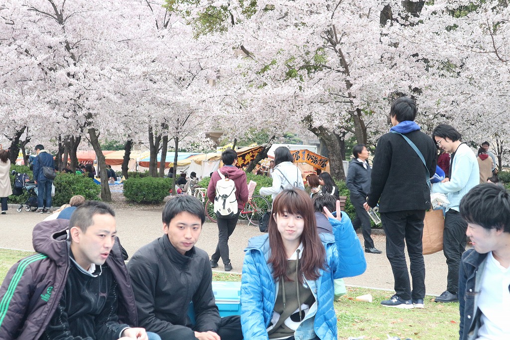 2017年4月10日　お花見　(鶴舞公園)