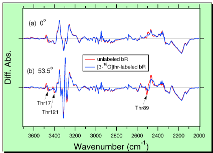 FTIR_THR.GIF - 27,273BYTES