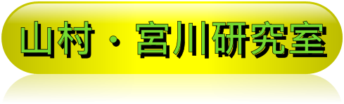 �R���E�{�쌤���� 