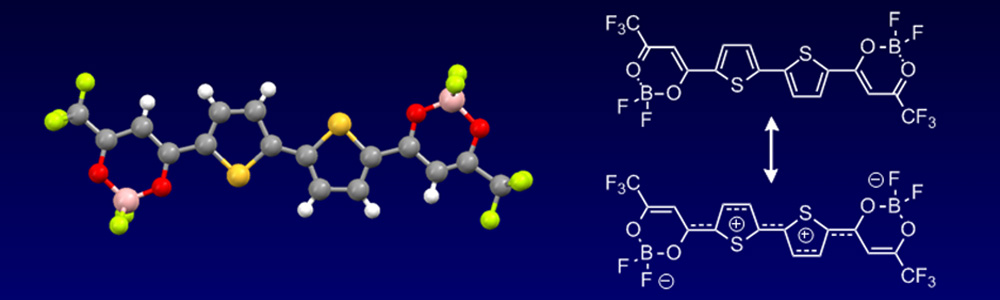 小野研究室／名古屋工業大学　大学院工学研究科 生命・応用化学専攻、生命・応用化学科 創造工学/高度工学課
