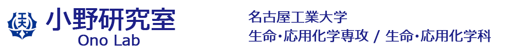 小野研究室／名古屋工業大学　大学院工学研究科 生命・応用化学専攻、生命・応用化学科 創造工学/高度工学課程