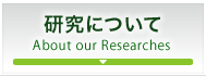 研究について